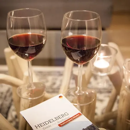 Ξενοδοχείο με διαμερίσματα Haus Χαϊδελβέργη